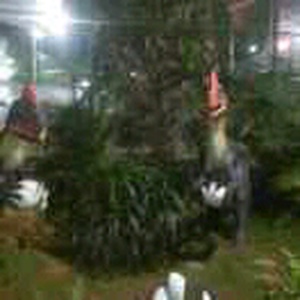 菜市场老人被打,结果老人是军区首长,出动了警