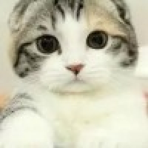 [天下足球]2016疯狂的足球