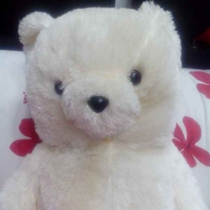 视频解说-极线杀手-迅雷电影