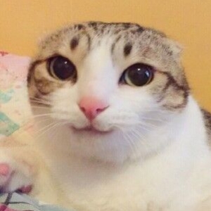 火星时代 第一季|火星时代 第一季简介|火星时代