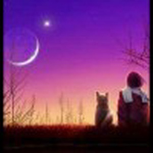 一部精彩的忍术大片,忍术大师的超级杀器,出手